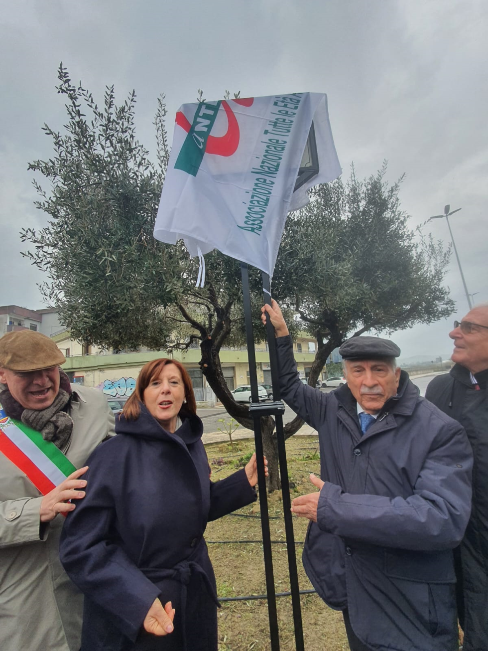 Crotone: Anteas inaugura la prima piazza del Volontariato dalla Calabria 